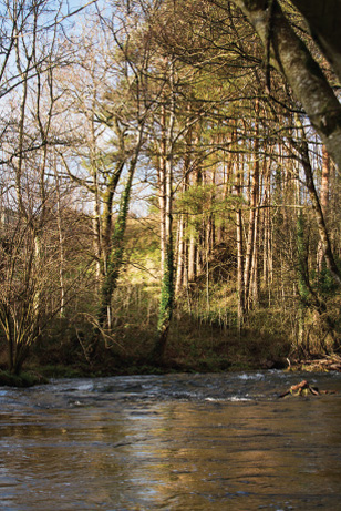 story-arrigle-river